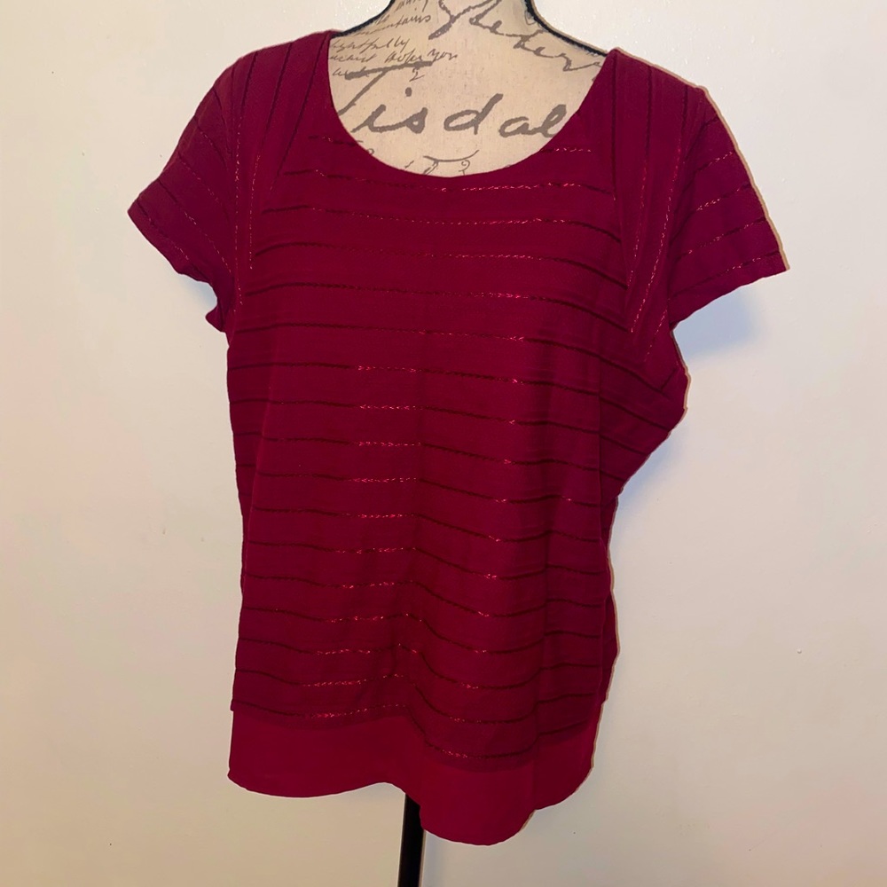🌺NWOT The Limited Chiffon Layered Top🌺